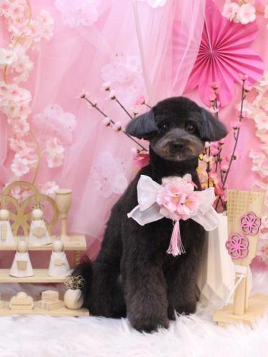 20250320らむちゃん